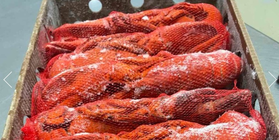 captures_chrome-capture-2024-4-27-24