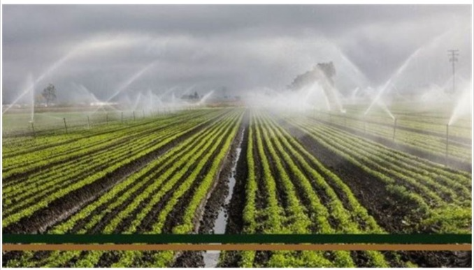 captures_chrome-capture-2024-5-24-22-1