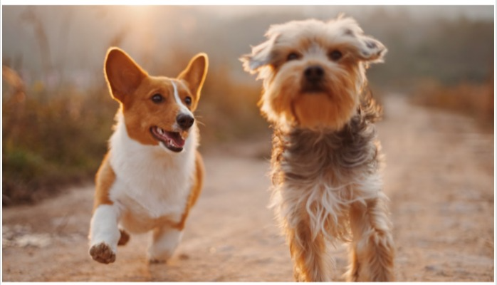 captures_chrome-capture-2024-5-8-13-1