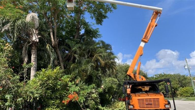 e1fa7f25-9cd9-4f5d-811d-6ff313e460b5-W768-1