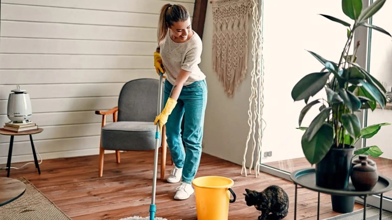 16ca3d30-d024-478e-8d8a-53e69be891ce-W768-1