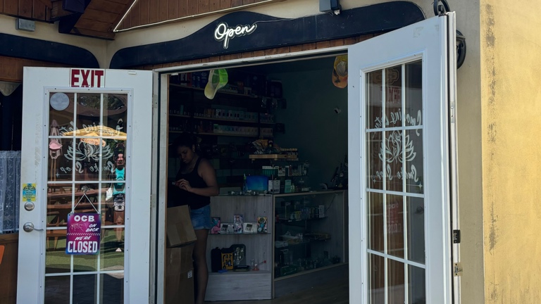 c0e3e830-998a-4c8e-9662-923ad75b2649-W768