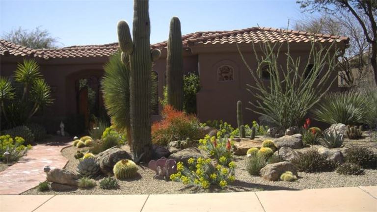 aaaf4806-da5b-4c71-9700-5a41e6942e41-W768-1