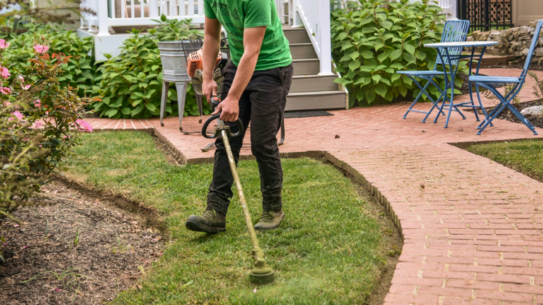 b0d78b37-d9b1-4c6d-8f03-b78dd9e3455c-W768-1