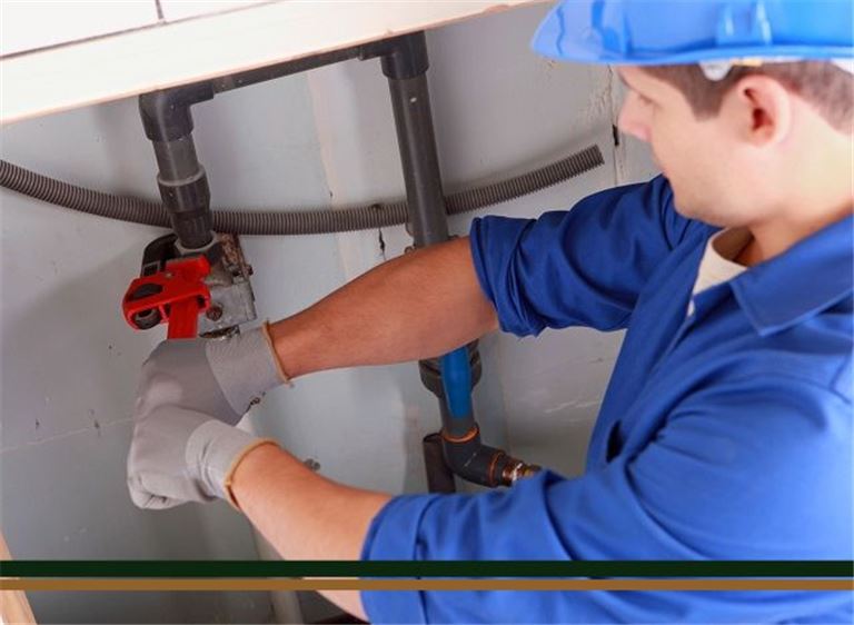 ee0b9be3-e9f1-4ce6-a732-61a05726793c-W768-1